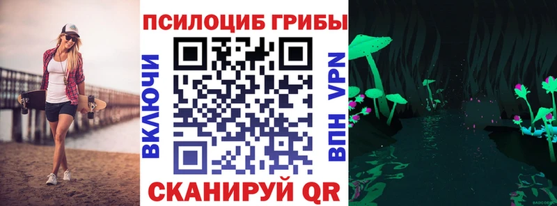 Псилоцибиновые грибы Psilocybe  Зарайск 